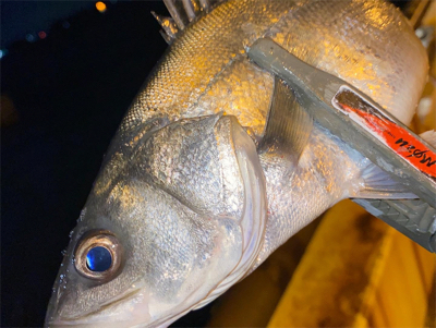 宵姫爽S78Mでシャローフリーク