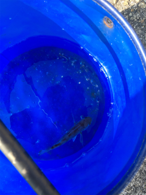 内向きも外向きも満足の釣果！