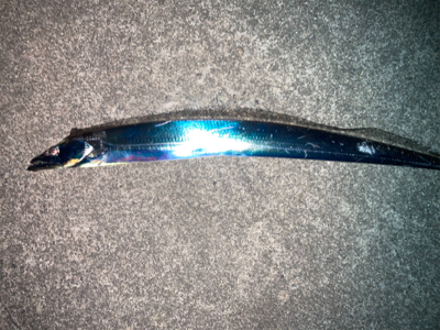 タチウオ！ハマチ！2021ライトゲーム第39戦