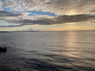 ハマチ一本だけ