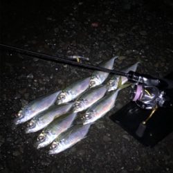 強風、極寒でした