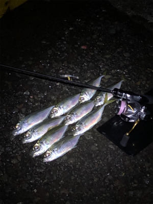 強風、極寒でした