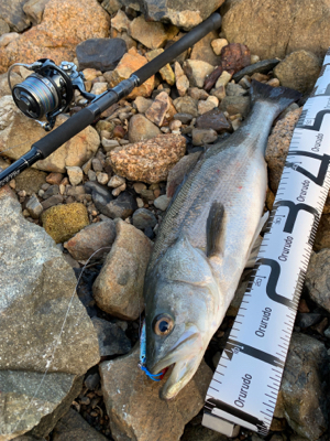 欲しいのはキミではないのよ