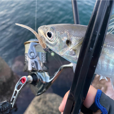 宵姫爽S78Mシャローフリーク縛り