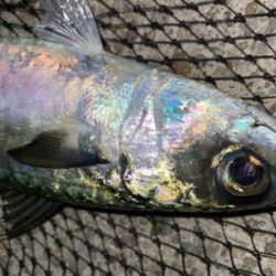 フロートアジング