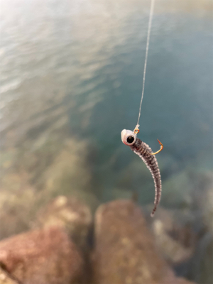 湧いてんなぁ〜