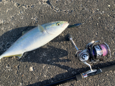 今回も懲りずにパターンを探りに各場所へ