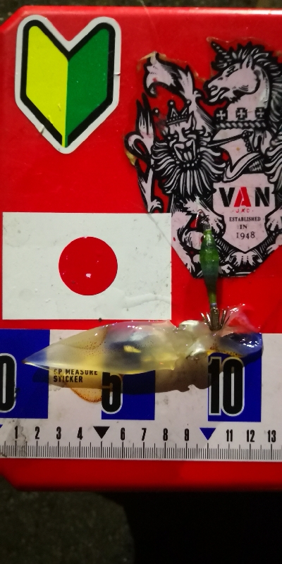 アジング練習341 ヒイカ