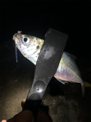 本日も修行でした…