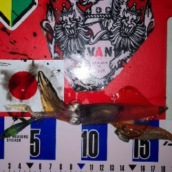 アジング練習342