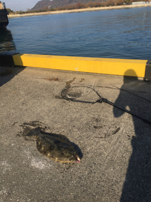 自己最高60センチオーバーのヒラメ