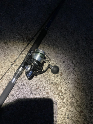 ヒラスズキ釣果！！