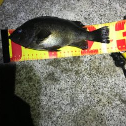 まぁまぁ渋いメバリング