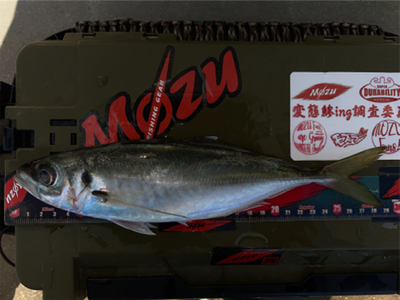 マズメチャレンジ