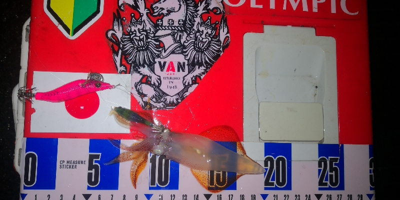 アジング練習349 ライトエギング