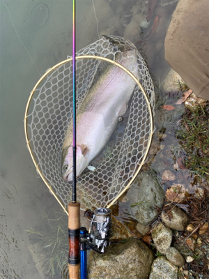 蛇尾川フィシングエリア