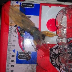 アジング練習352 ライトエギング3 感謝…