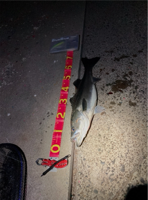 極寒の中、しっかり食ってきた！