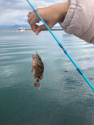 初宮島上陸デイメバ！