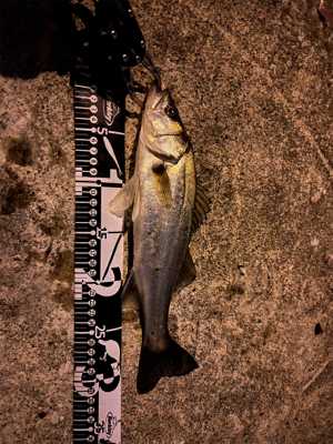 2021最初で最後のスズキ