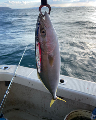 今年最後のジギング