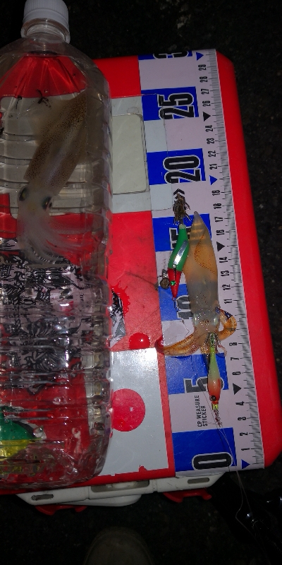 アジング練習355 ライトエギング終演かな？