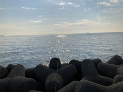 今年最後のラッキー