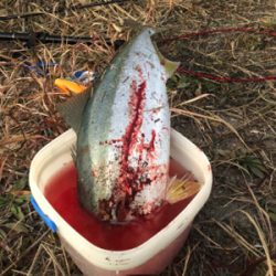 2021年釣り納め完了!