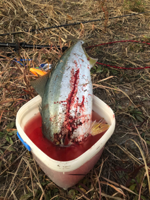 2021年釣り納め完了!