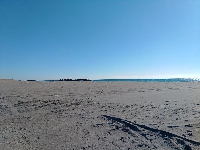 時合が短すぎる(*_*)