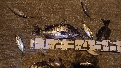 12/25向かい風で苦戦しました。