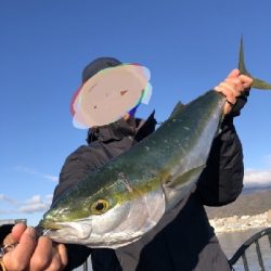 ブリ、メジロ、タチウオ