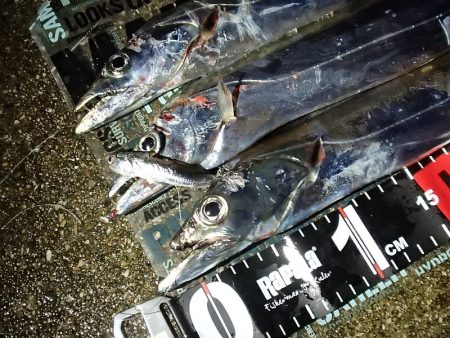 水温低下で？食い込み悪い！