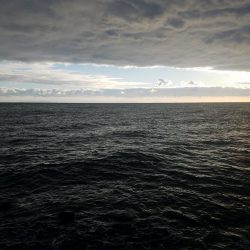 新ポイントに初挑戦!