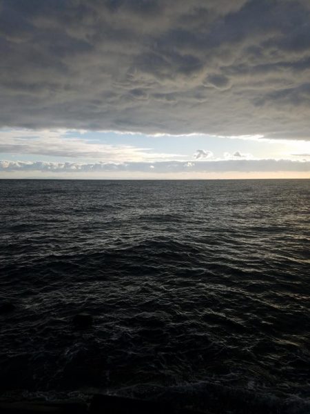 新ポイントに初挑戦!