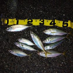 プチファミリーフィッシング GAME