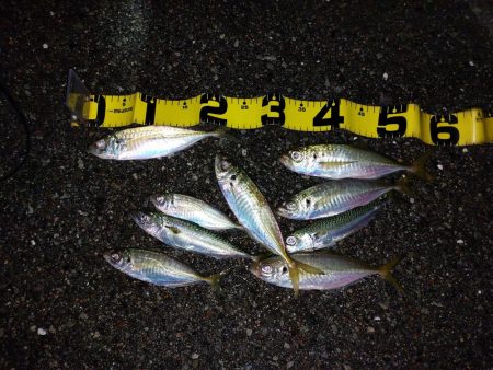 プチファミリーフィッシング GAME