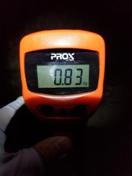 ナイトエギング♪