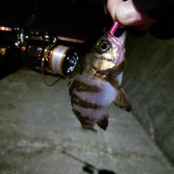 まさかの・・・！！