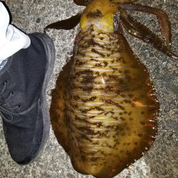 なんとか年内キロアップ！！