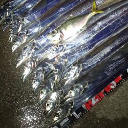 タチウオ ツ抜け 今シーズン2回目