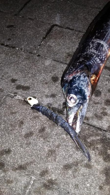 爆風南港タチウオ