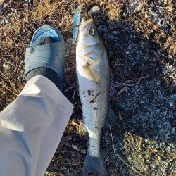 夜勤明けの寄り道で