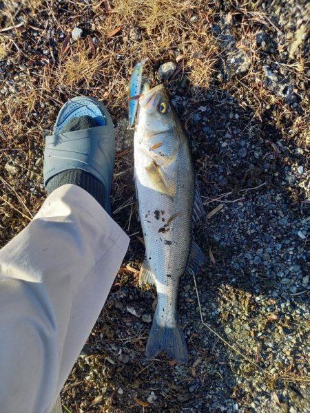 夜勤明けの寄り道で