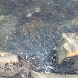 2021年最後の釣行