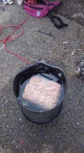 早朝からアジ一択狙いでアミエビブロックおかわり!!