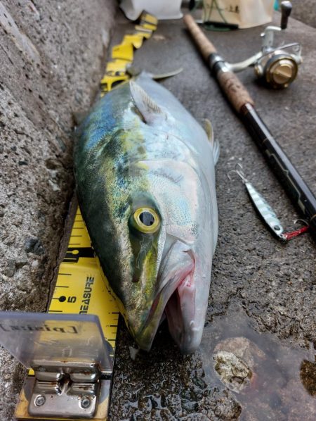 プチsalt water game