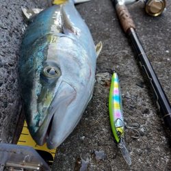 プチsalt water game