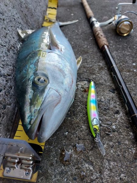 プチsalt water game