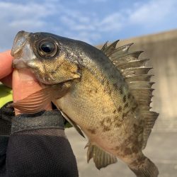 納竿釣行>* ))))><